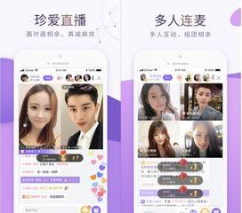 相亲爆料视频大全最新下载,揭秘真实相亲现场，最新下载尽在其中